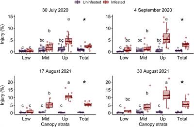 Effects of feeding injury from Popillia japonica (Coleoptera: Scarabaeidae) on soybean spectral reflectance and yield